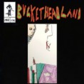 /album/buckethead/buckethead-toys-r-us-tantrums-jpg/